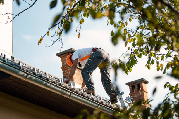 Best Roof Replacement  in Nitro, WV